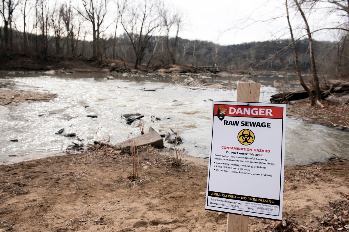 E Coli levels test ‘dangerously high’ in Potomac River after sewage spill: report