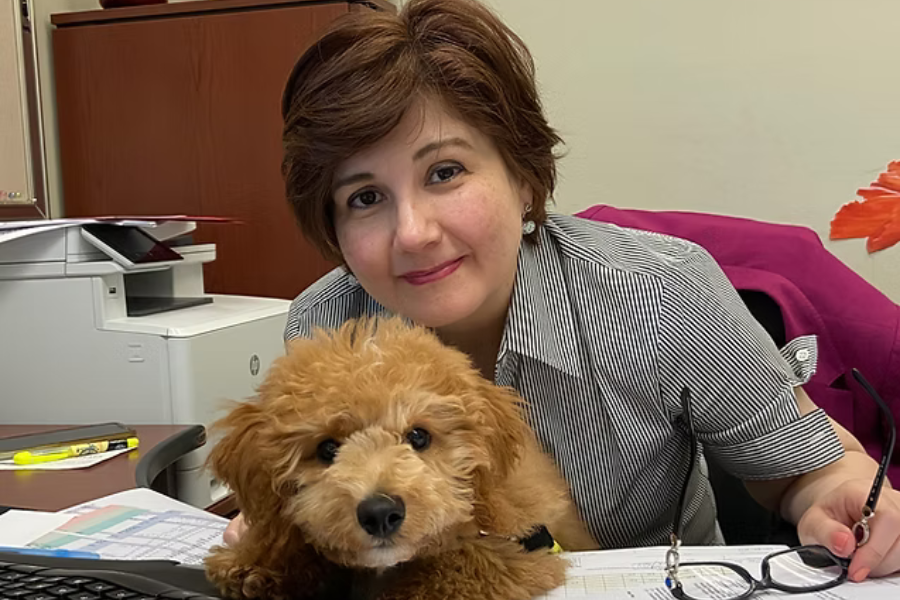 Gordon Goodarzi, 66, foi preso pela morte de sua ex-mulher, Aryan Papoli, 58, cuja morte em novembro de 2025 foi considerada homicídio.