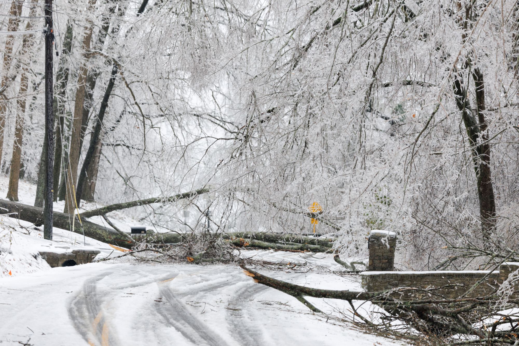Fallen branches and trees lay across roads and utility lines in Nashville, Tennessee