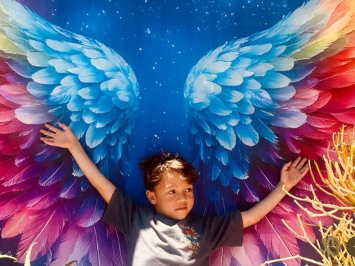 家族向けに作成された GoFundMe ページでは、ハドソン君は「科学のすべてが大好きで、彼のエネルギーは伝染するものでした」「活気に満ちた」「深く愛情深い」子供であると説明されています。