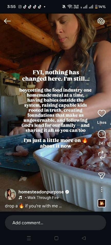 Screenshots of Homesteadonpurpose’s Instagram reel about ‘boycotting the food industry’