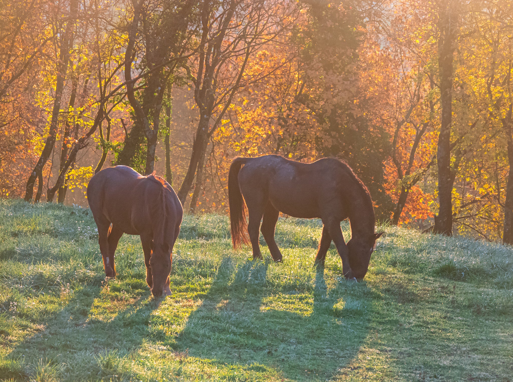 My experience with equine therapy wasn't what I expected but it transpired that it was something I very much needed