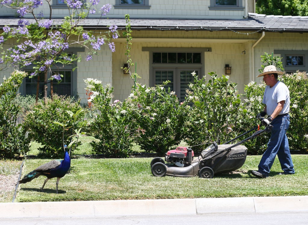 Homeowners associations, which oversee community standards for things like grass length, add a median monthly fee of $135 to listed homes in their communities