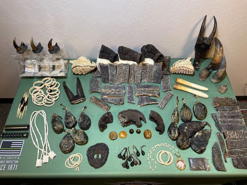 Authorities arrested three people for wildlife trafficking violations after seizing hundreds of illegal animal products, including elephant tusks and rhinoceros horns this month in California