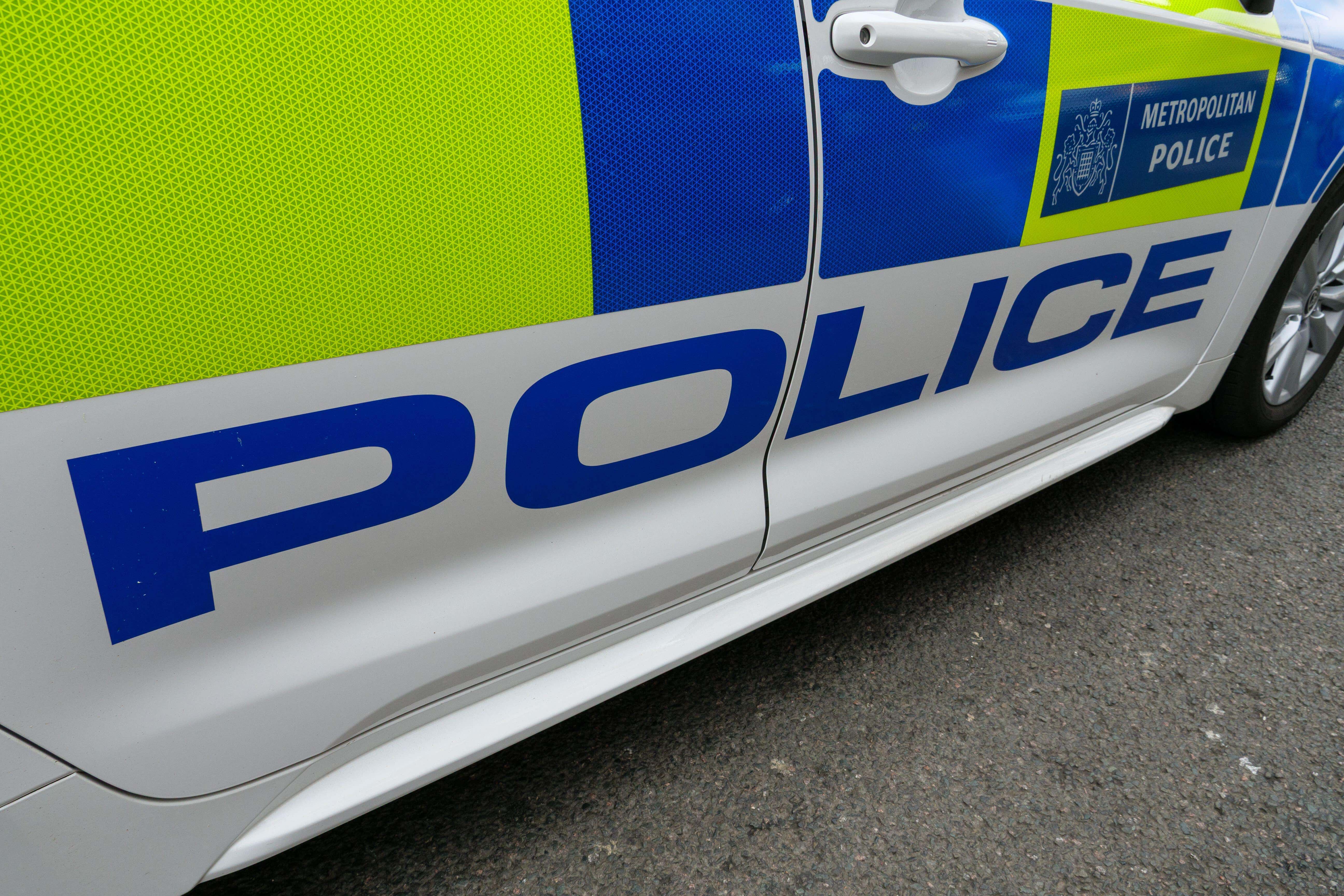 The Metropolitan Police reported a drop of nearly 1,500 full-time equivalent officers in the year to September 2025 (Alex Segre/Alamy)