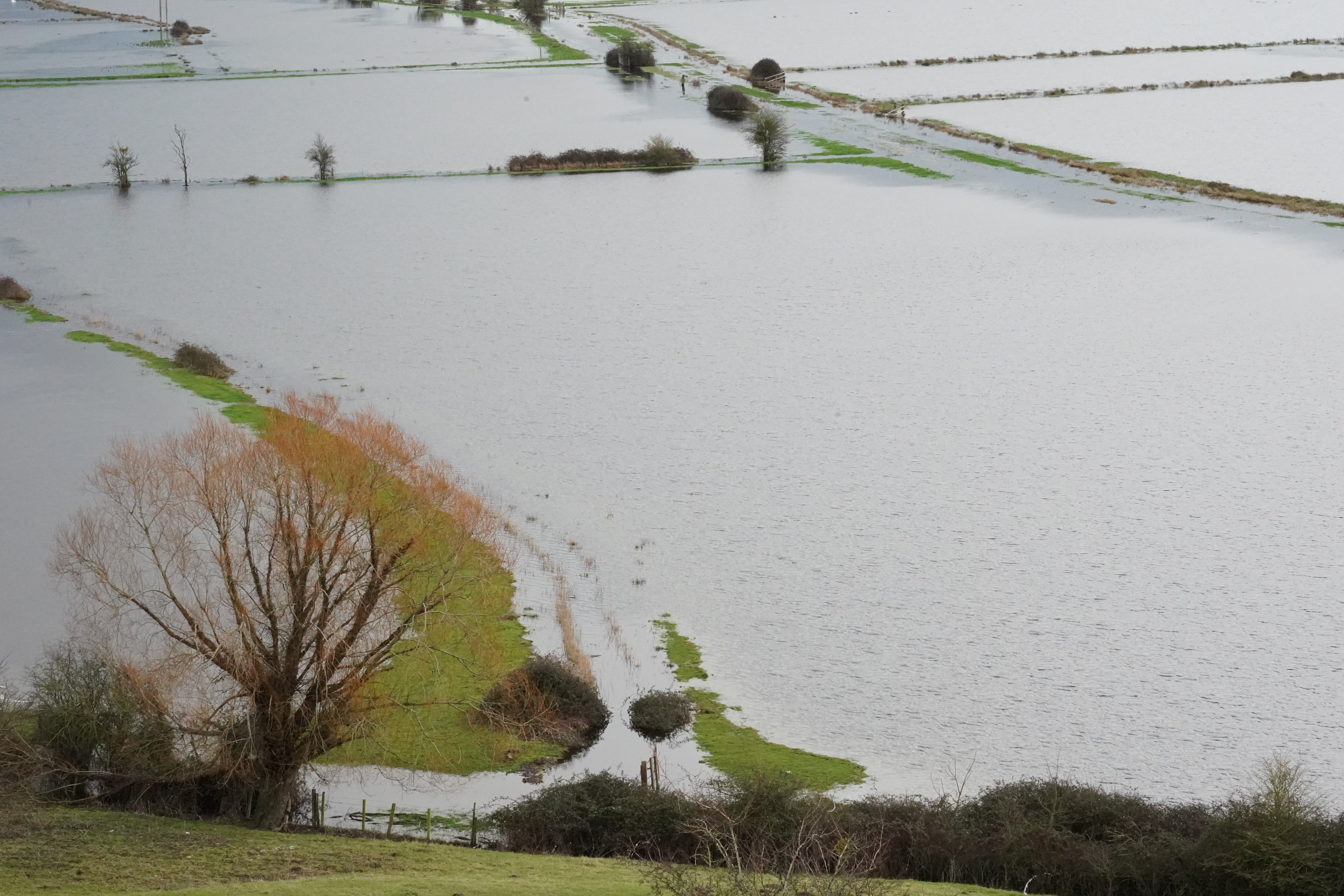 The couple say the Environment Agency has done “too little too late” to save their home of 14 years