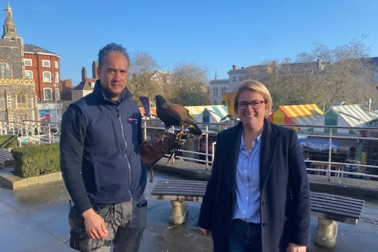 The council originally employed a hawk to try and deter the pigeons