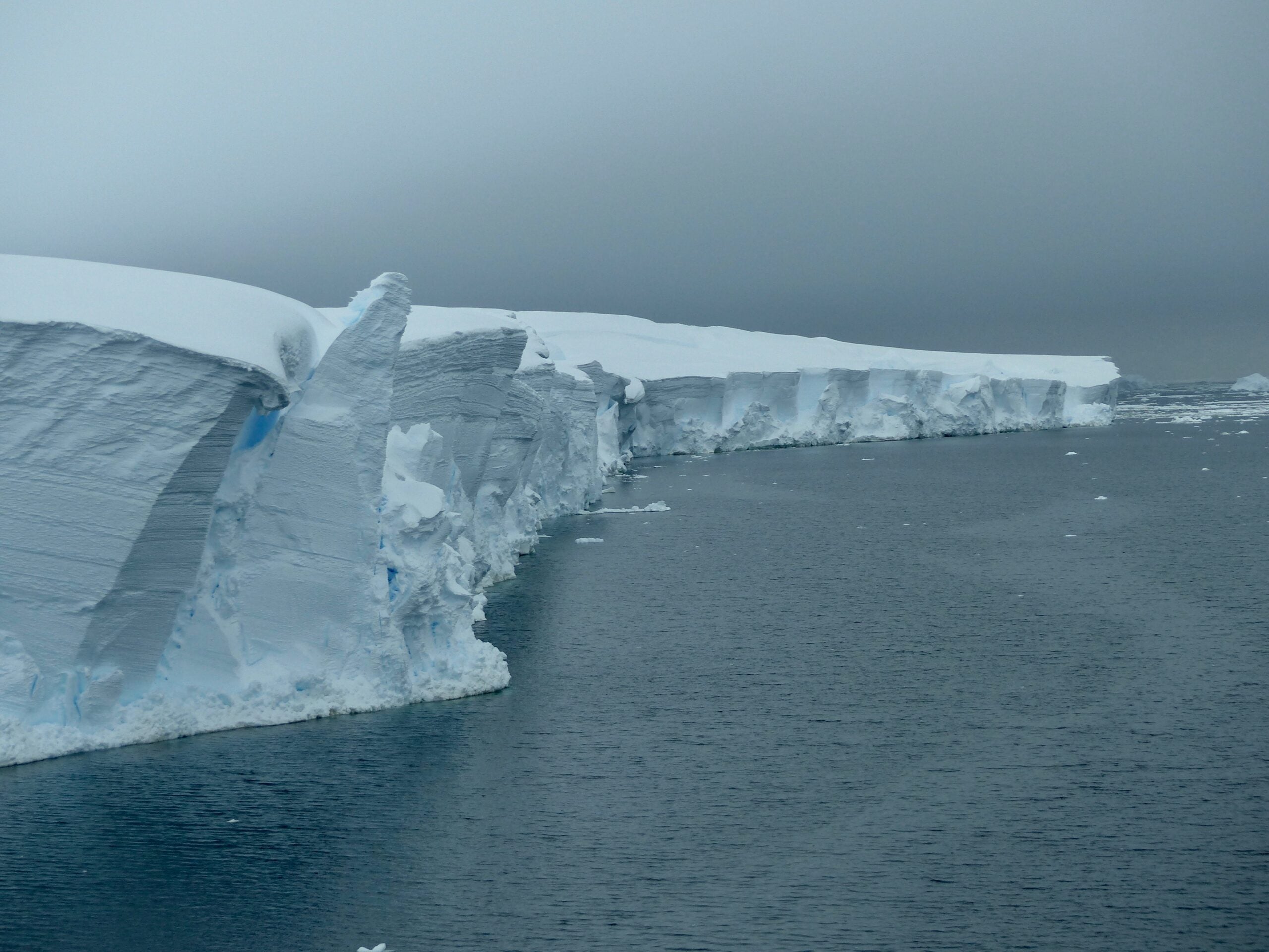 If the Thwaites glacier collapses, global sea levels could rise by 65cm