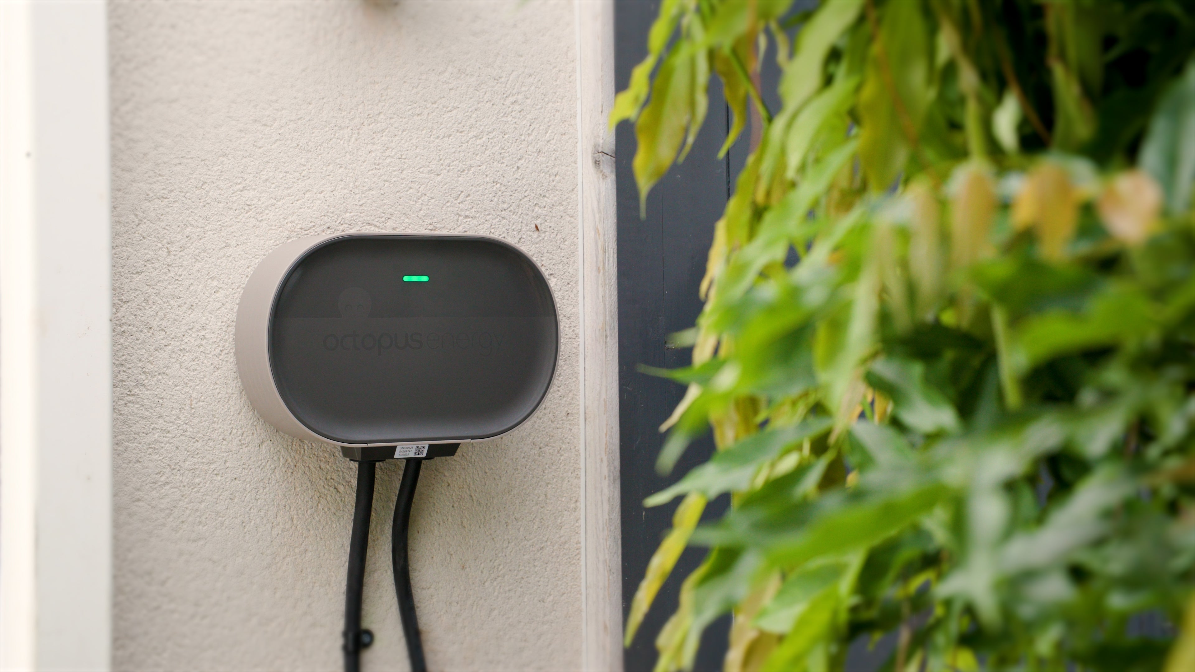 Charging during off-peak hours could be as cheap as 7p per kWh depending on your tariff and provider