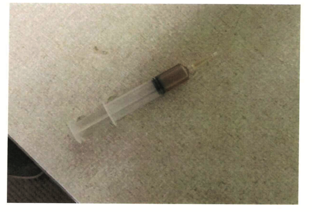 The syringe allegedly wielded by Kazmierczak was filled with a water and apple cider vinegar mixture, according to the FBI