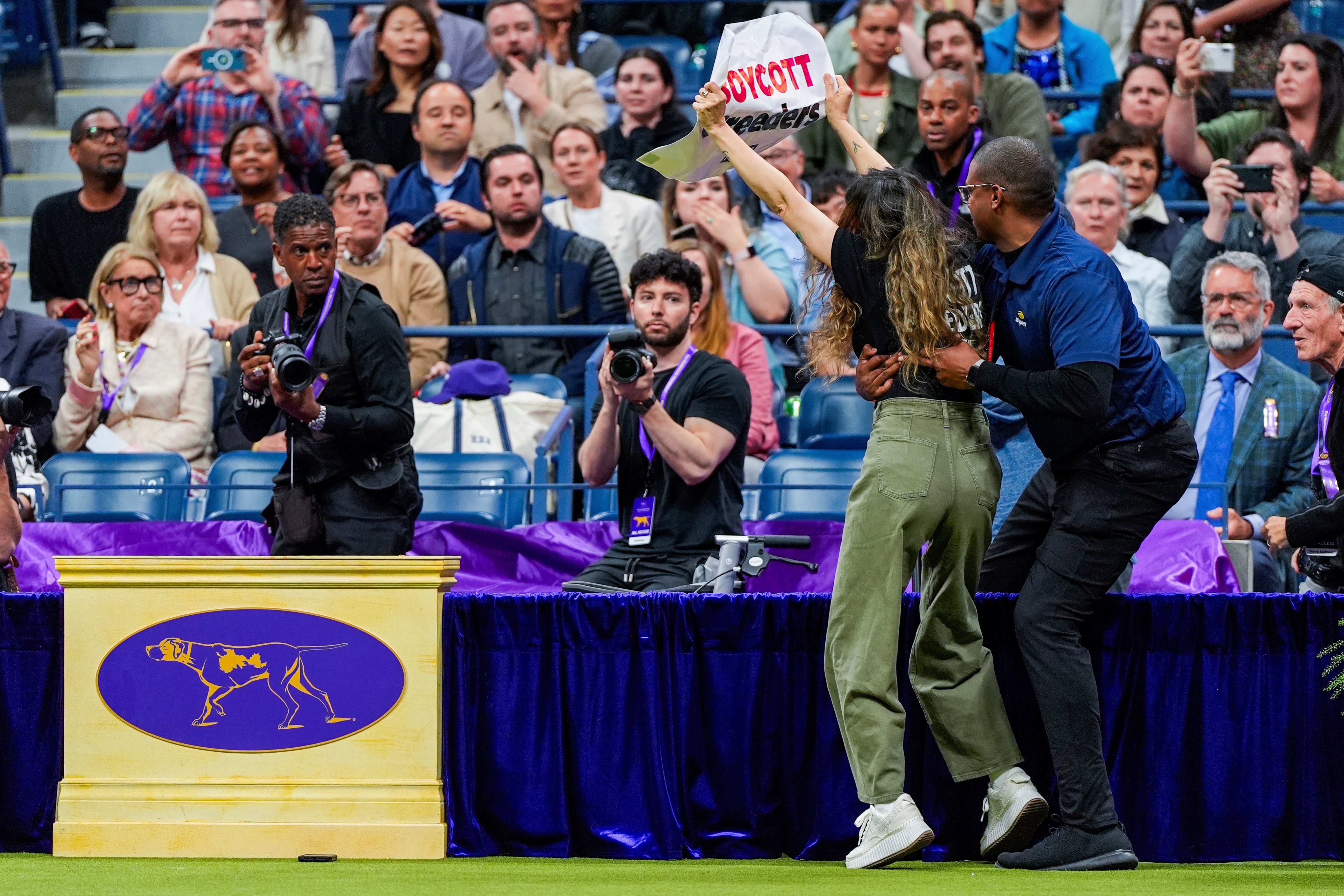 A security worker wraps up a protester during the best in show competition at the 148th Westminster Kennel Club dog show in 2024