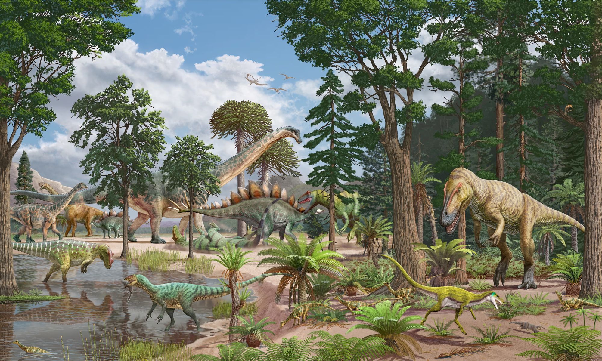 A reconstruction of a Late Jurassic Dry Mesa Dinosaur Quarry ecosystem around 150 million years ago which shows a diverse array of bipedal theropod dinosaurs including the largest in the ecosystem Torvosaurus (far right in the brown), alongside two Allosaurus in the center (green) hunting a Stegosaurus (green with red plates on its back), while Ceratosaurus and Marshosaurus prowl for food in a shallow stream and a Stokesosaurus pursues a small mammal
