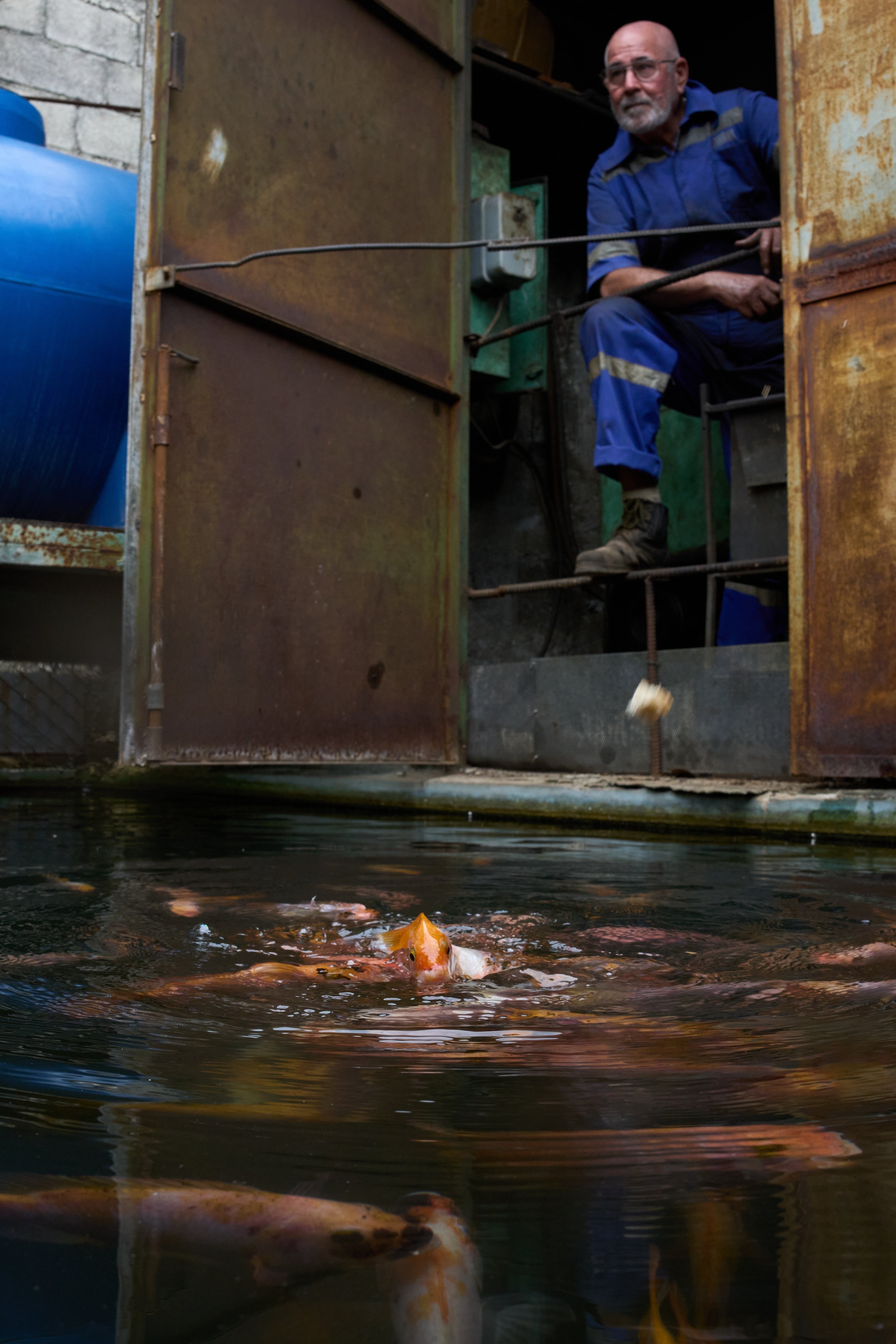 Cuba Self Sufficient