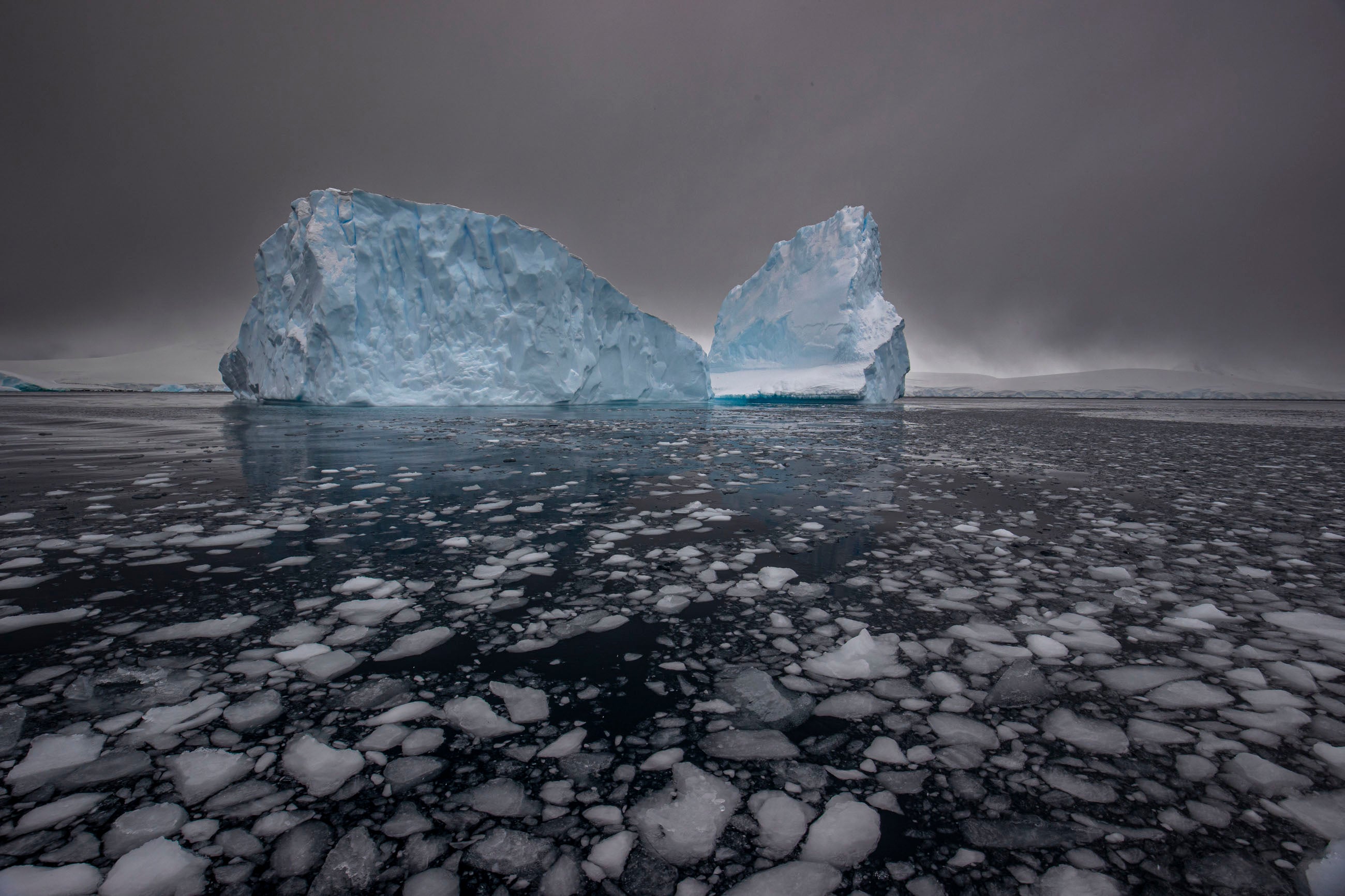 Polar veteran and photographer Paul Goldstein said: 'Antarctica needs firm governance, but also needs ambassadors. Tourism has assisted that'