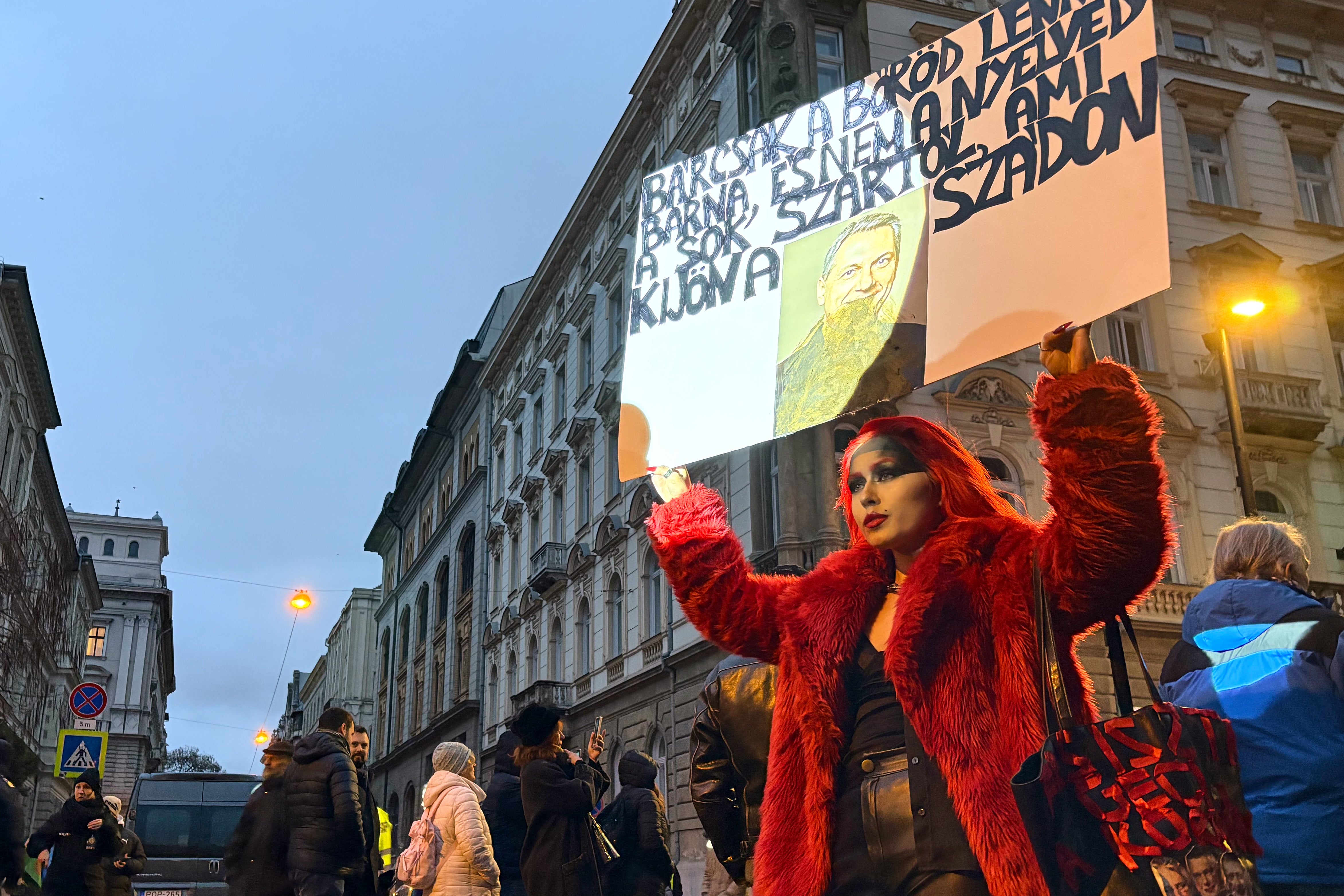 Hungary Roma Protest