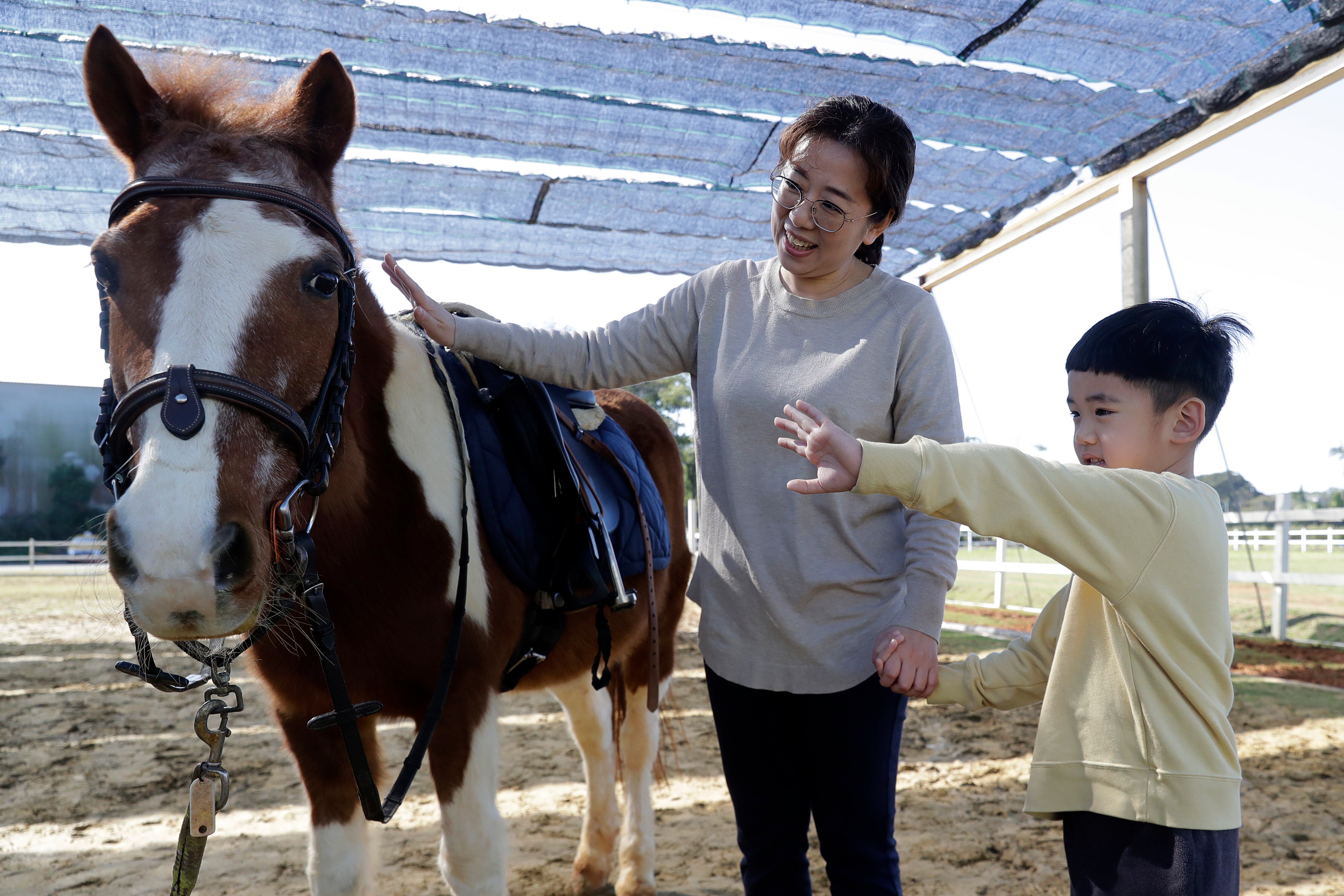 Taiwan Horse Therapy