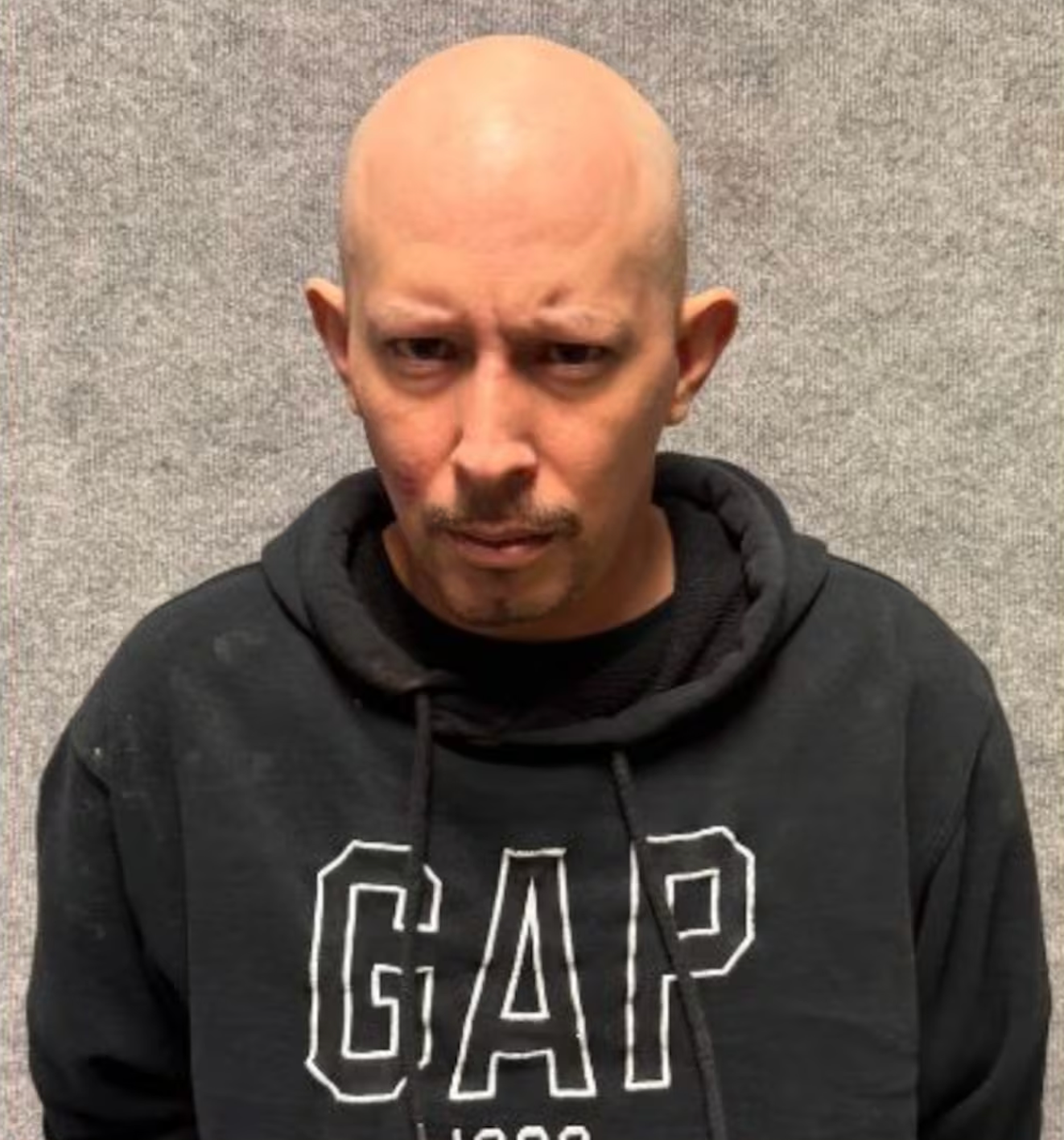 Bryan Arceo allegedly fired the shot on Friday when Alisa’s mother honked her horn to warn him about a traffic collision