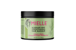Mielle rosemary mint strengthening masque, best shampoos and conditioners, IndyBest