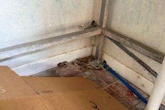 A sala de chips da Royal Native Oyster Stores precisava de uma limpeza profunda.