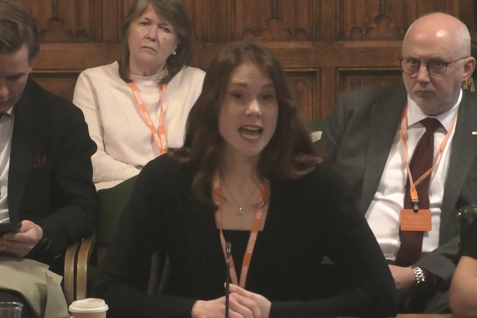 <p>Kate Nash appearing before the Culture, Media and Sport Committee (House of Commons/UK Parliament/PA)</p>