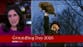 Maryam Moshiri’s Groundhog Day bulletin becomes her latest viral BBC News hit