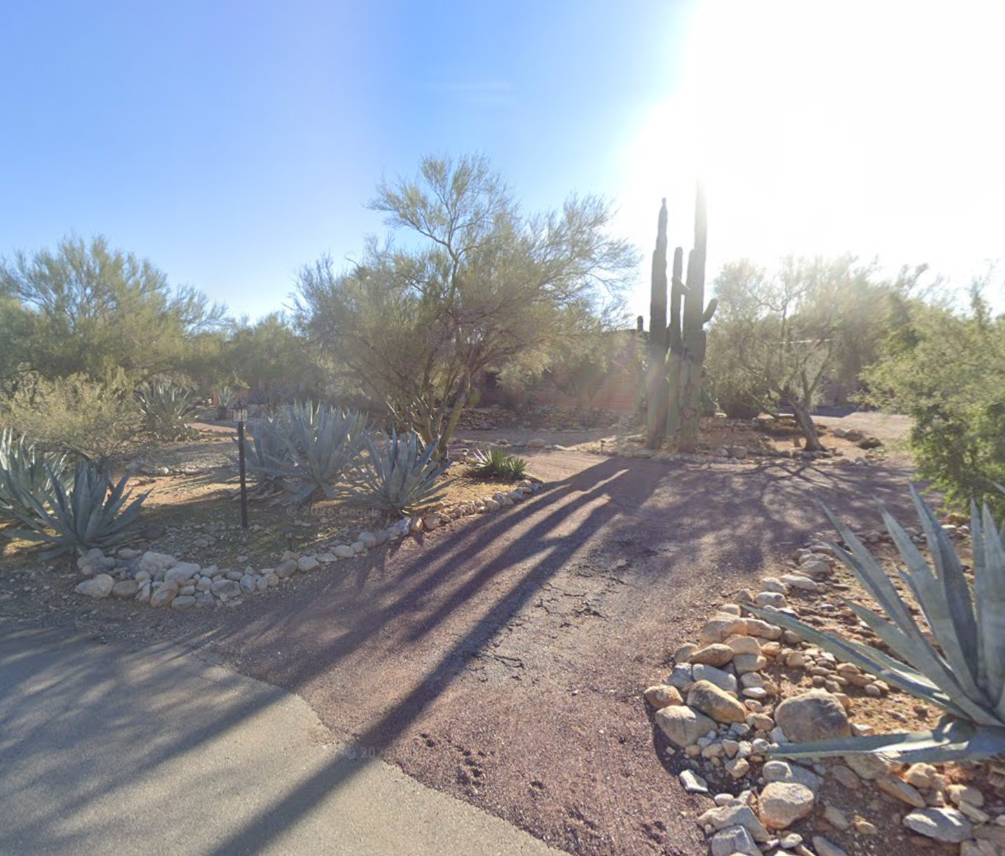 Nancy Guthrie's home in the Catalina Foothills neighborhood sits back off the road, shielded by brush and trees
