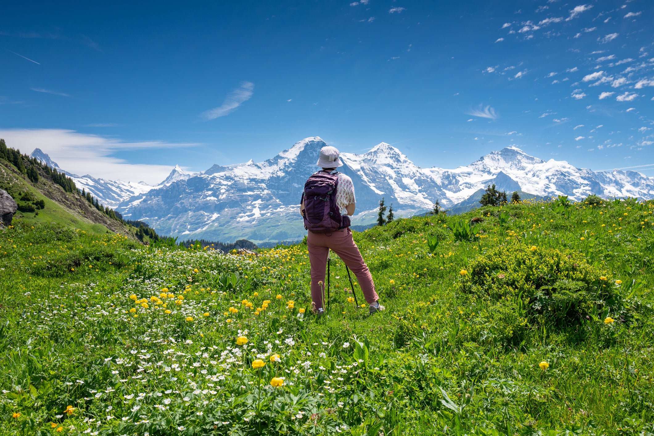 The Schynige Platte ridge is where you’ll fine rich floral displays and jaw-dropping mountain views