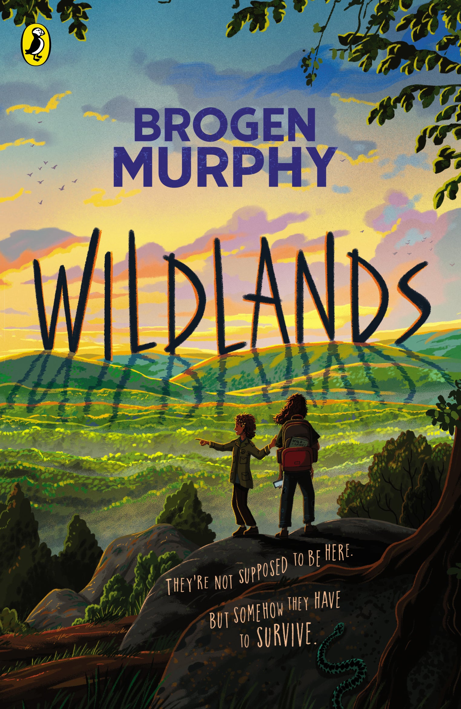 The cover of 'Wildlands' by Brogen Murphy