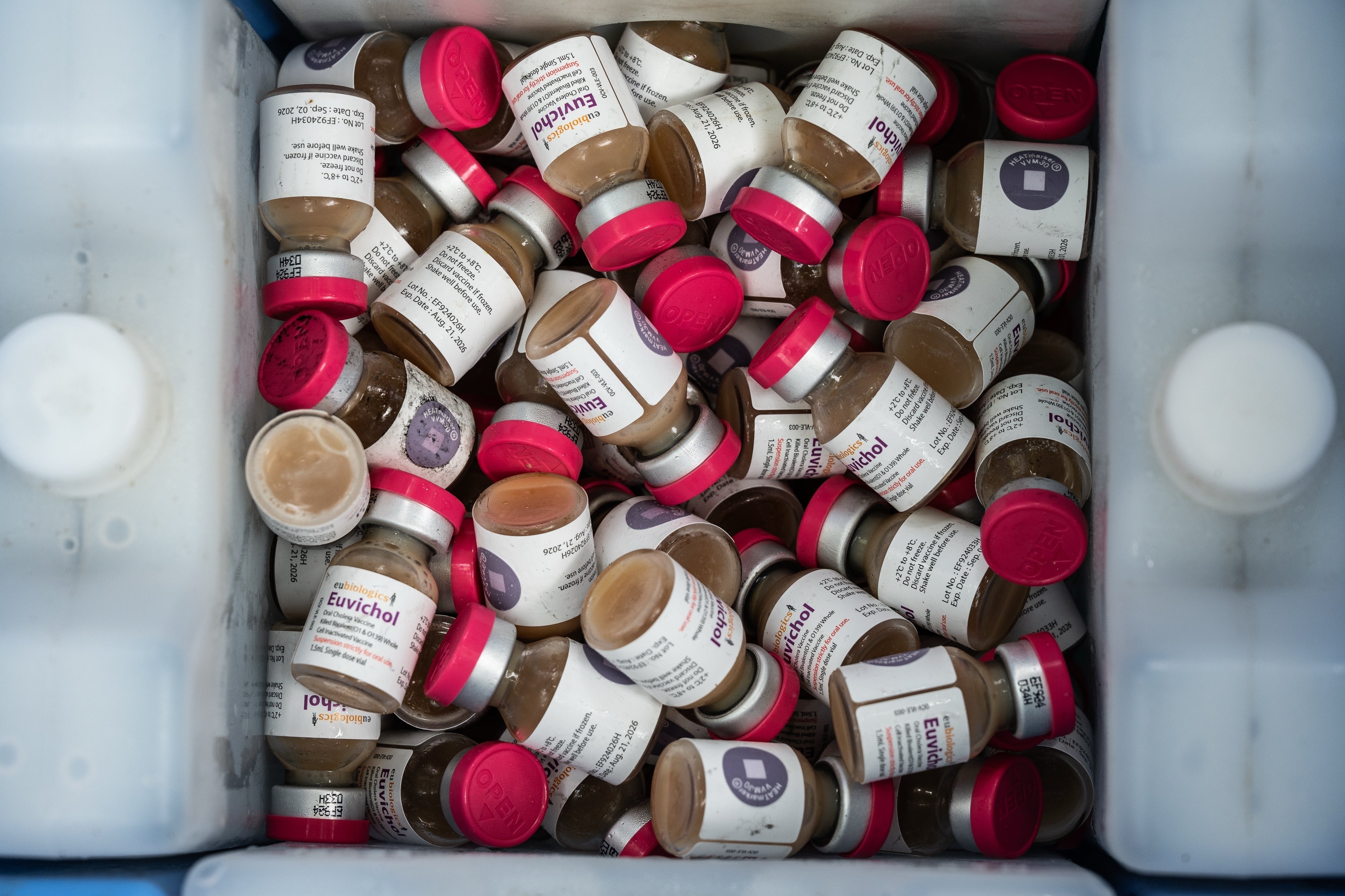 Malawi Cholera Vaccines