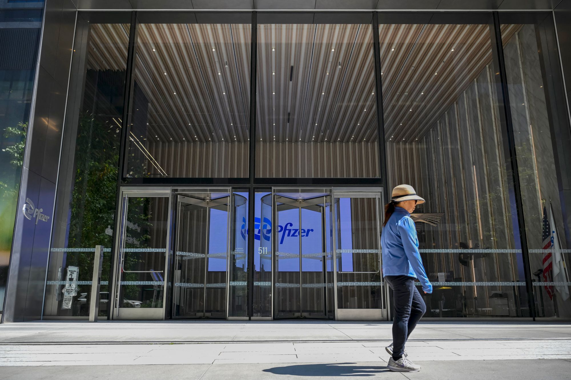 Pfizer and other drugmakers are trying to break into a market that has been dominated by competitors Novo Nordisk and Eli Lilly over the past year