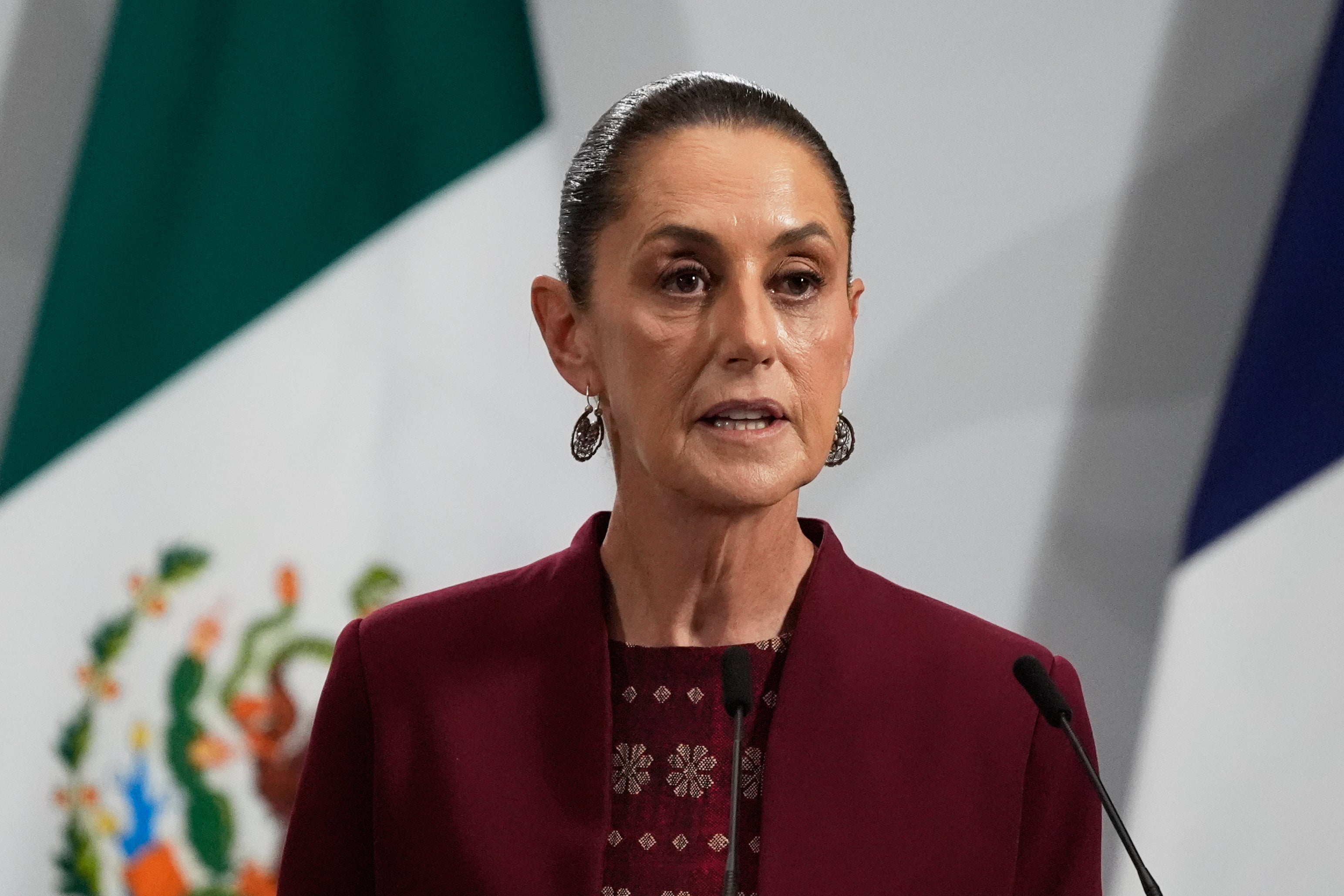 Mexico President Claudia Sheinbaum is vowing to address the security crisis.