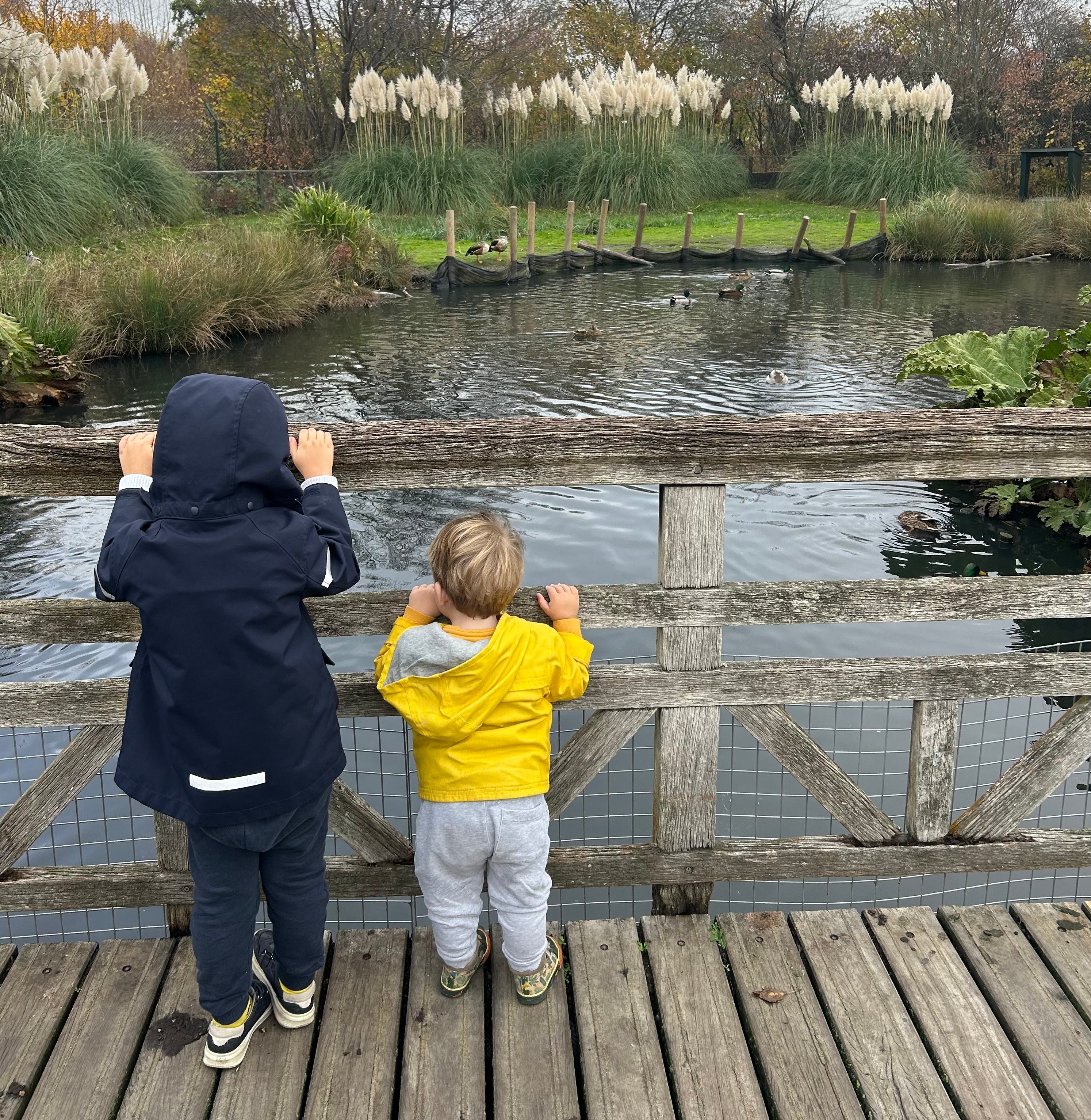 School holiday fines reached a peak in 2025