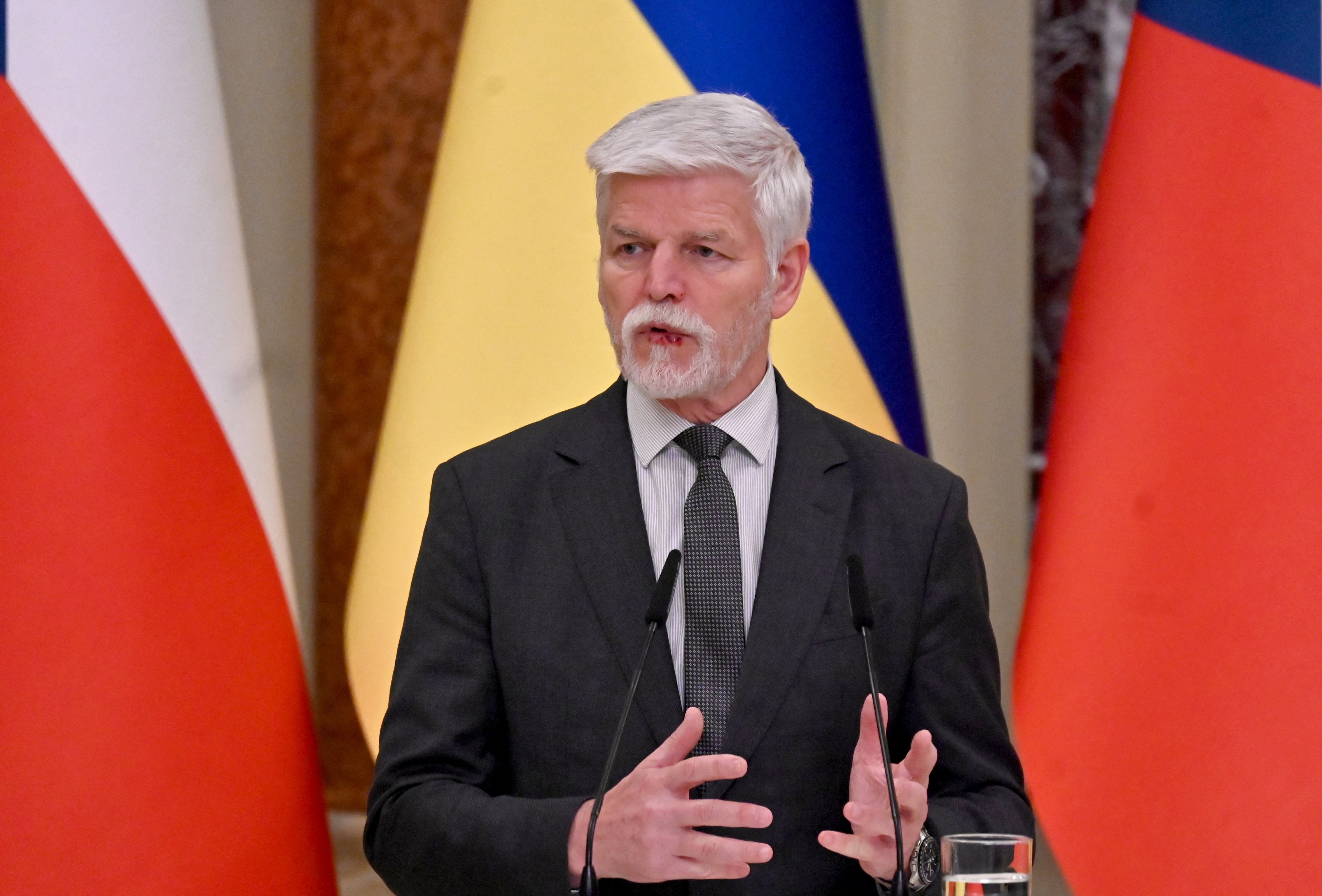 The government of the Czech Republic was targeted in the hacking campaign, which came months after President Petr Pavel met with the Dalai Lama, according to the report