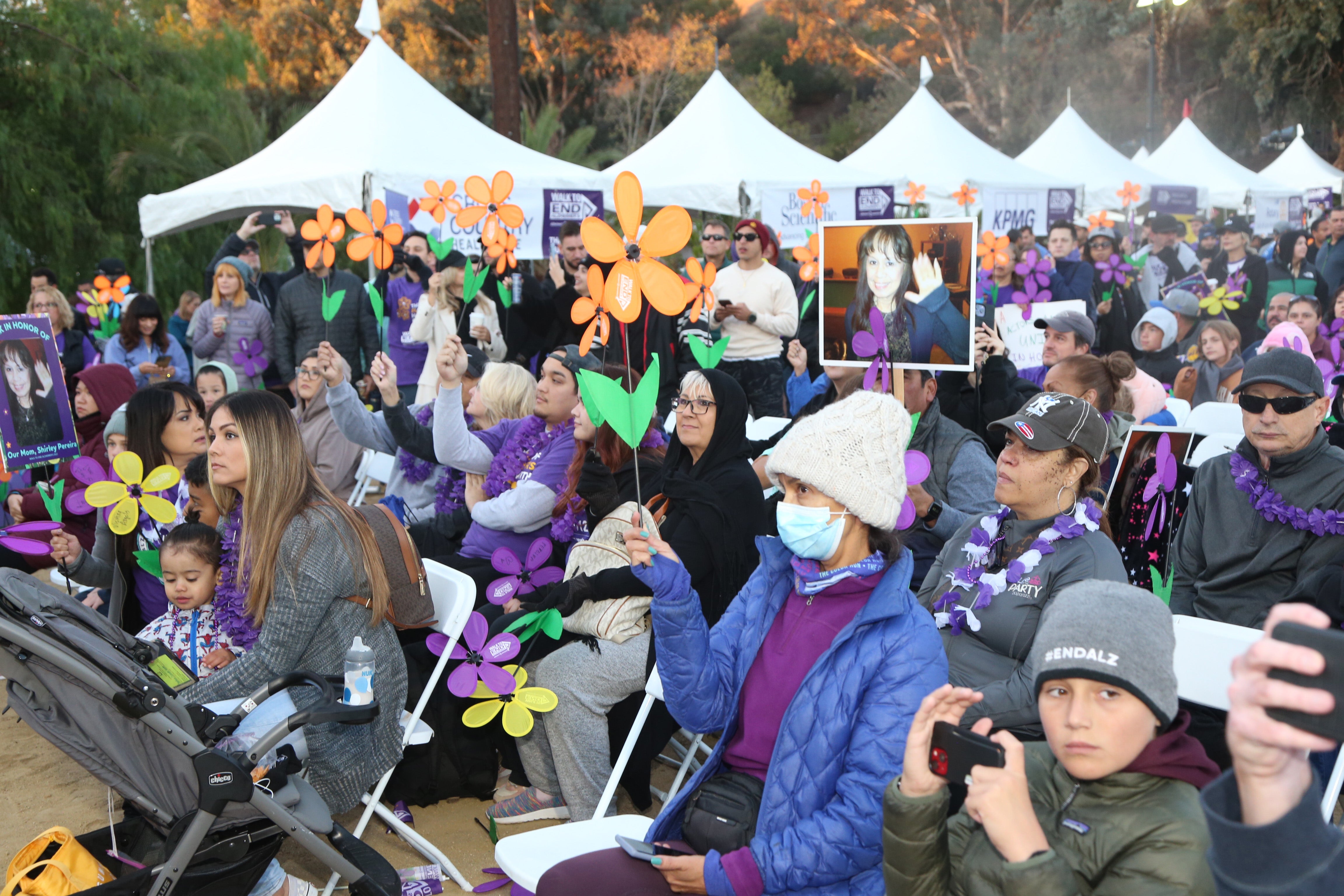New York researchers say they are able to clear harmful plaques in the brain that are hallmarks of Alzheimer’s disease