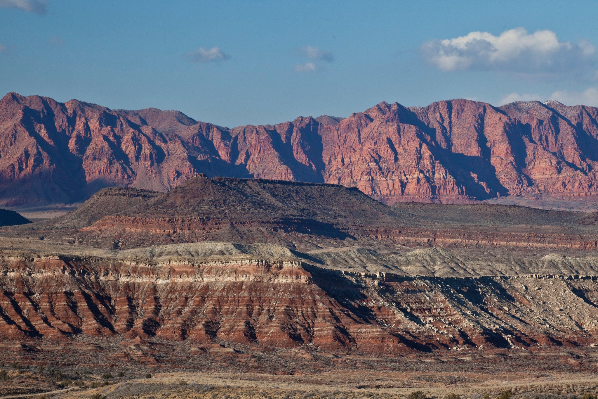 Conservation advocates are suing the Trump administration after it decided to reapprove the construction of a previously canceled four-lane highway through the Red Cliffs National Conservation Area in southwestern Utah