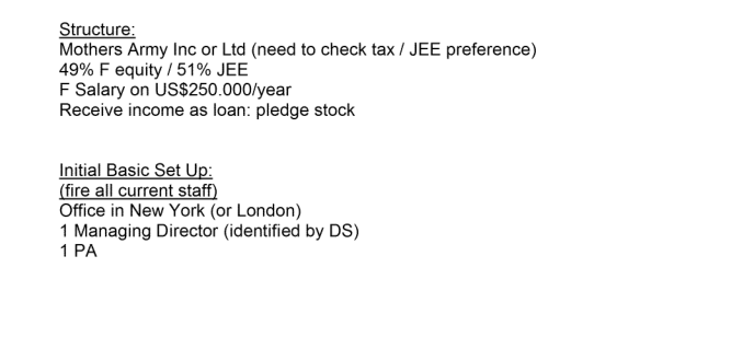 Section of an email sent to Epstein outlining a business plan showing he would hold 51 per cent of equity in Mothers Army