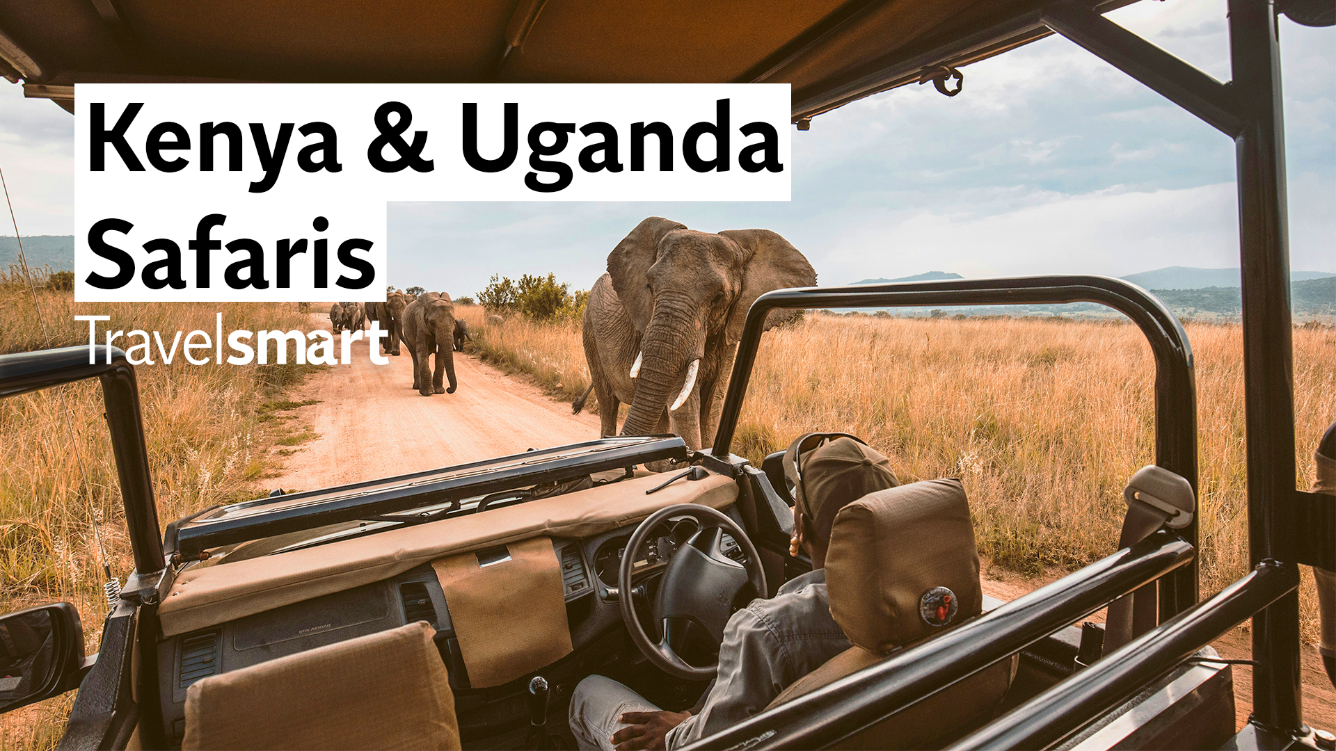 Kenya or Uganda: Which safari is best for you?