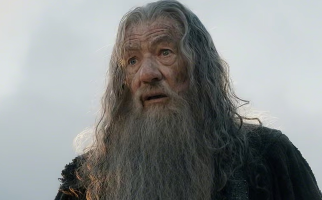 <p>Ian McKellen as Gandalf in 'Lord of the Rings'</p>