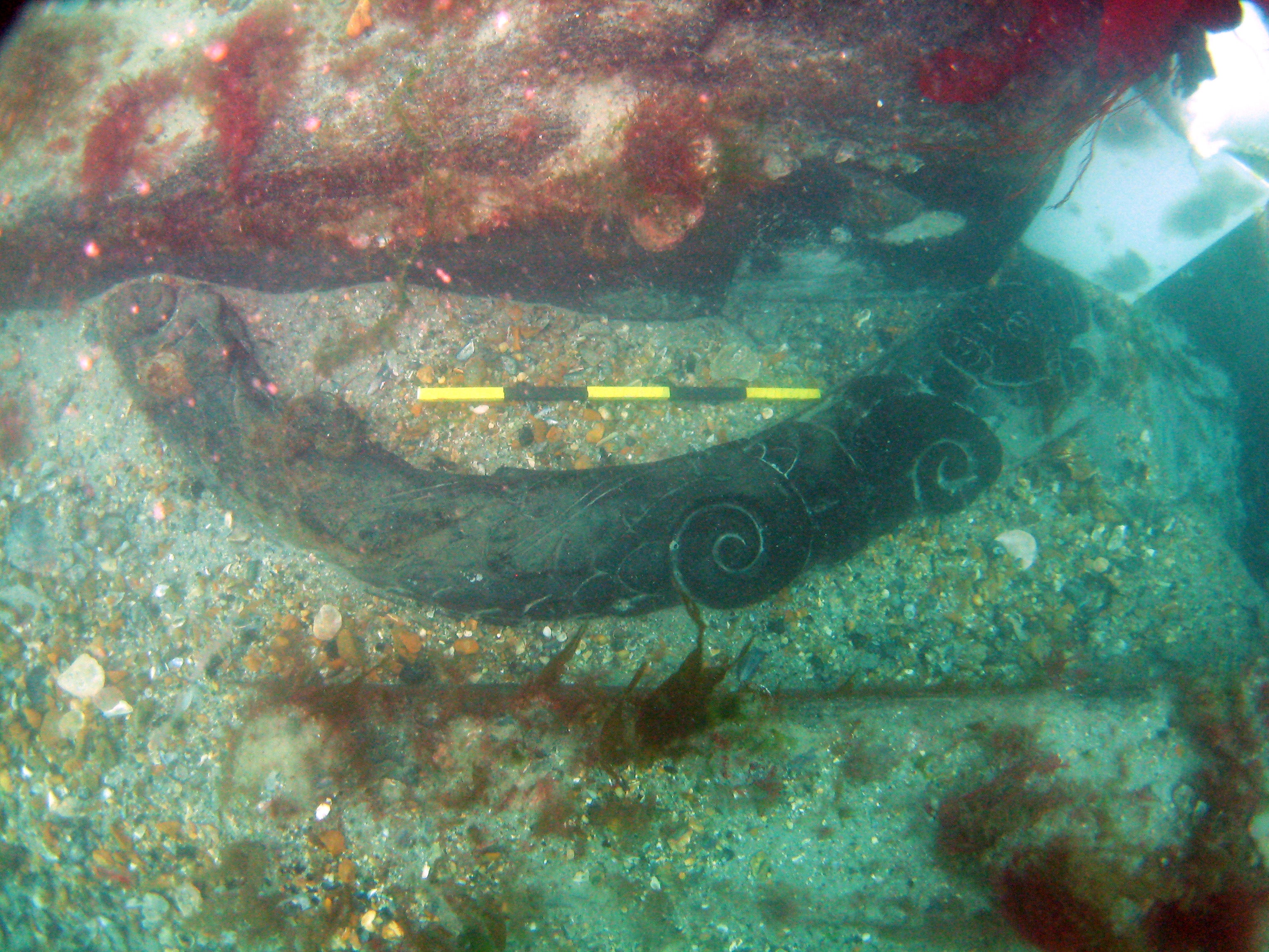 Intricate carvings were found in the shipwreck