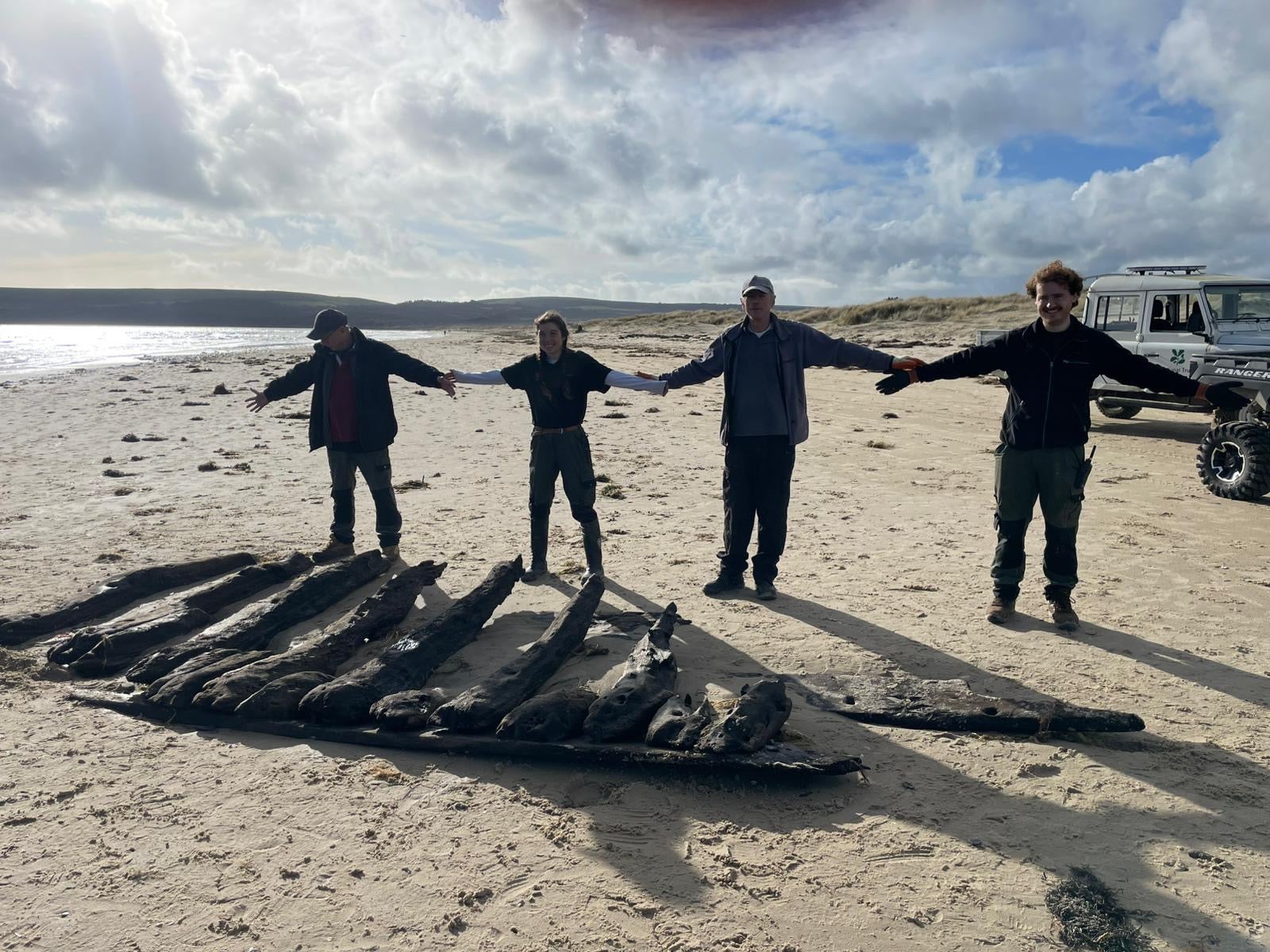 The ship parts, discovered on Studland Beach last month, are thought to be from a section of the Swash Channel wreck
