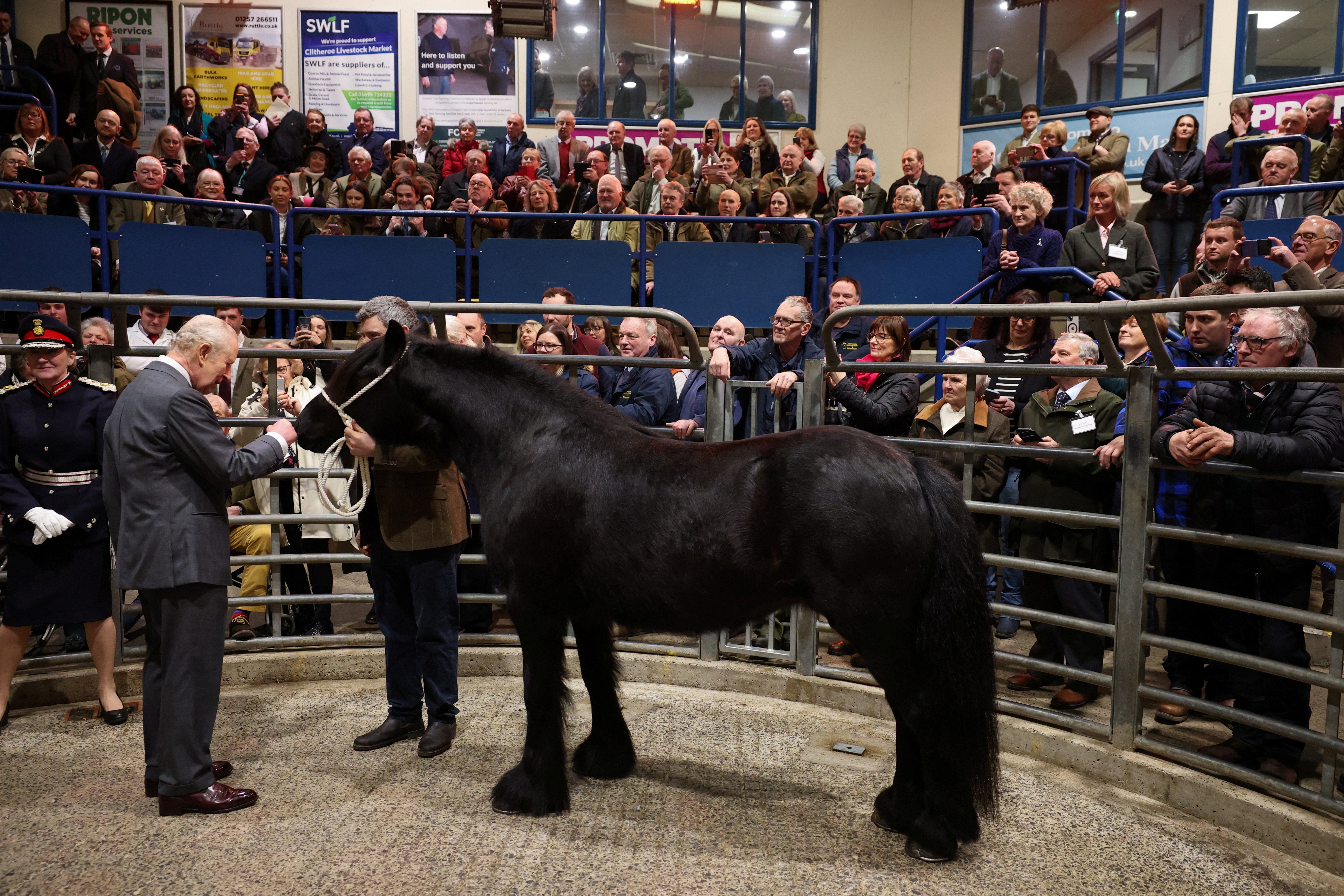 Charles meets Fell pony Pearl during his visit to Clitheroe Auction Mart in Lancashire (Phil Noble/PA)