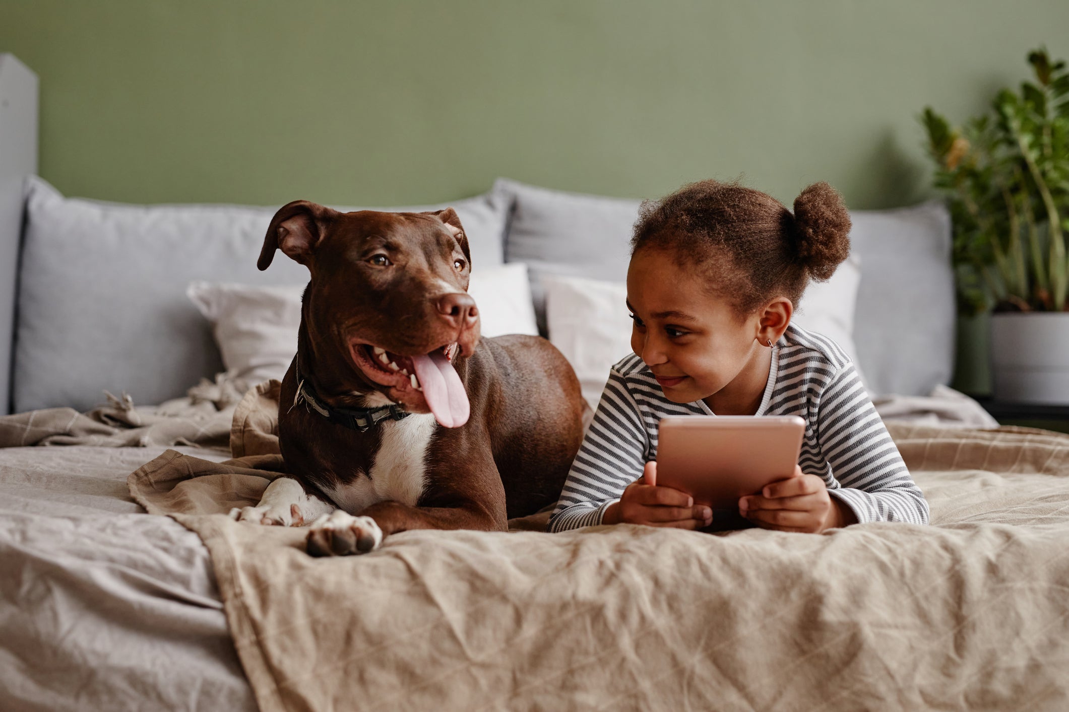 <p>When the relationship was evaluated between the presence of animals and mental health, we observed that children who had never had a pet showed the most positive scores</p>