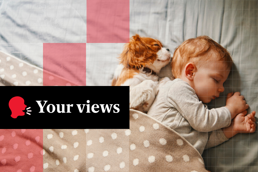 Is it okay to get rid of your dog when you have a baby?