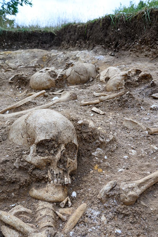 Skeletal remains found in Viking Age mass grave near Cambridge