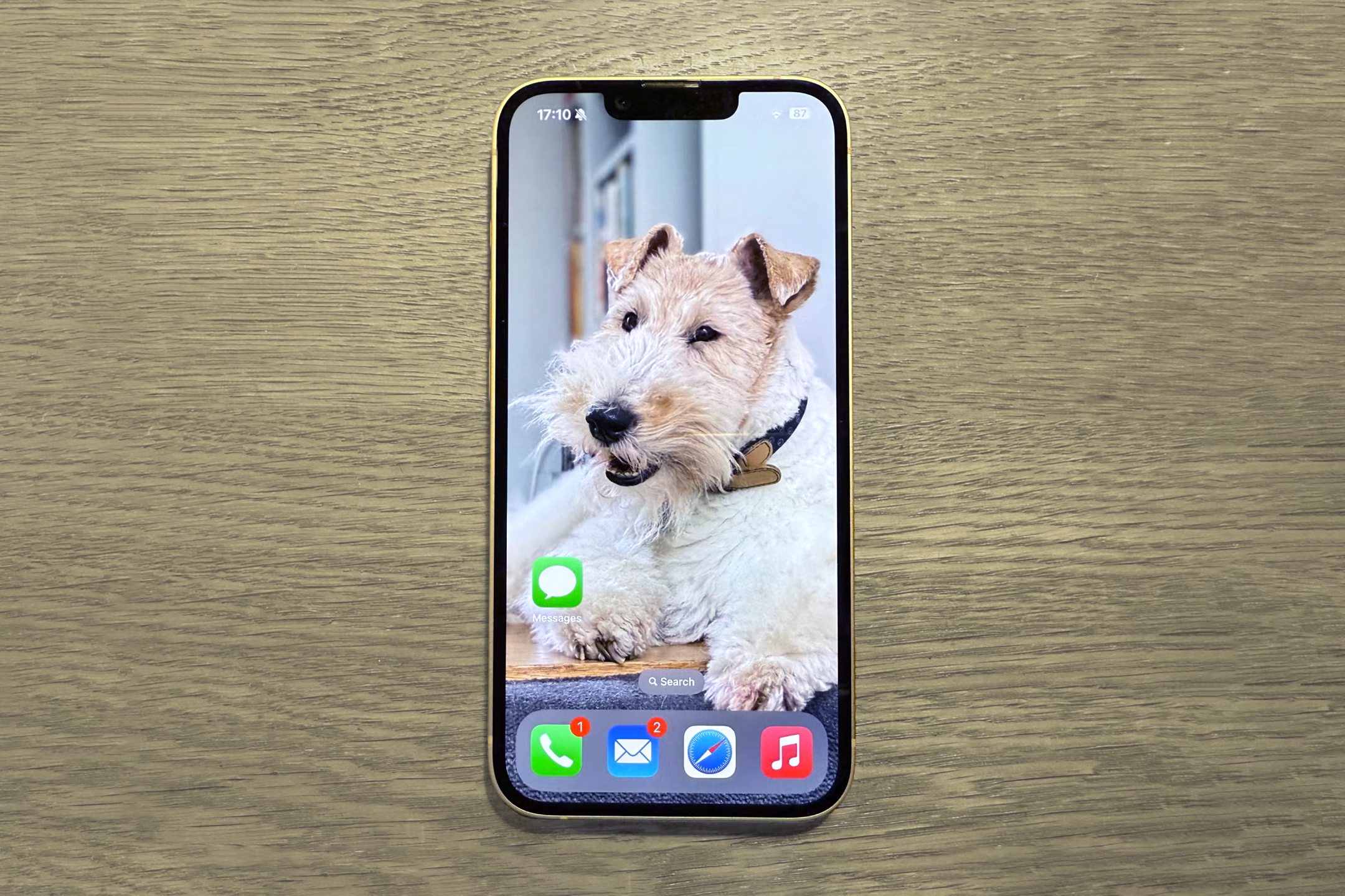 The iPhone 16e launched last year for £599