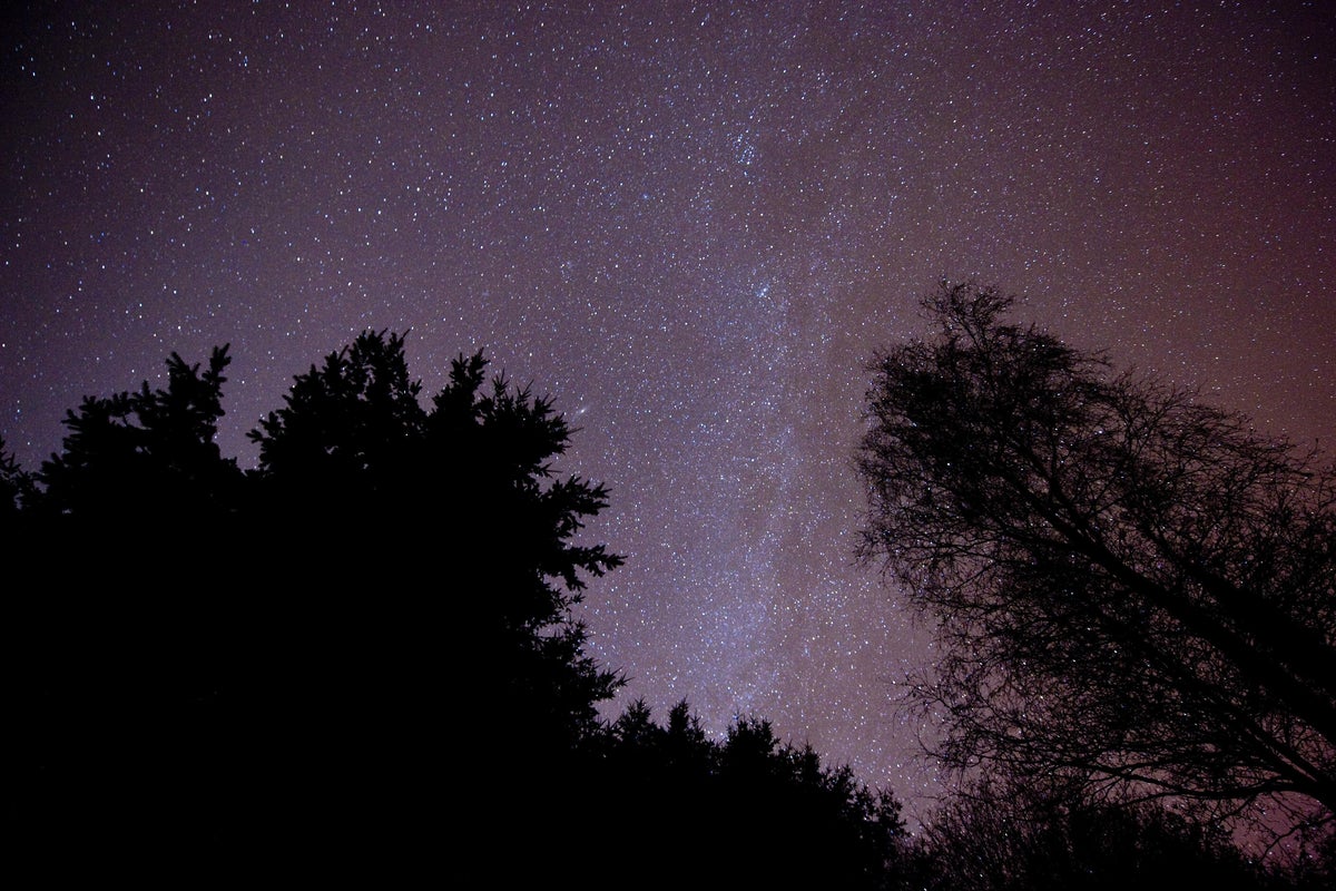 Space rocket company ‘on the cusp of launches’ to appoint administrators