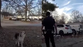 ‘Hero’ neighborhood dog leads police straight to missing three-year-old boy