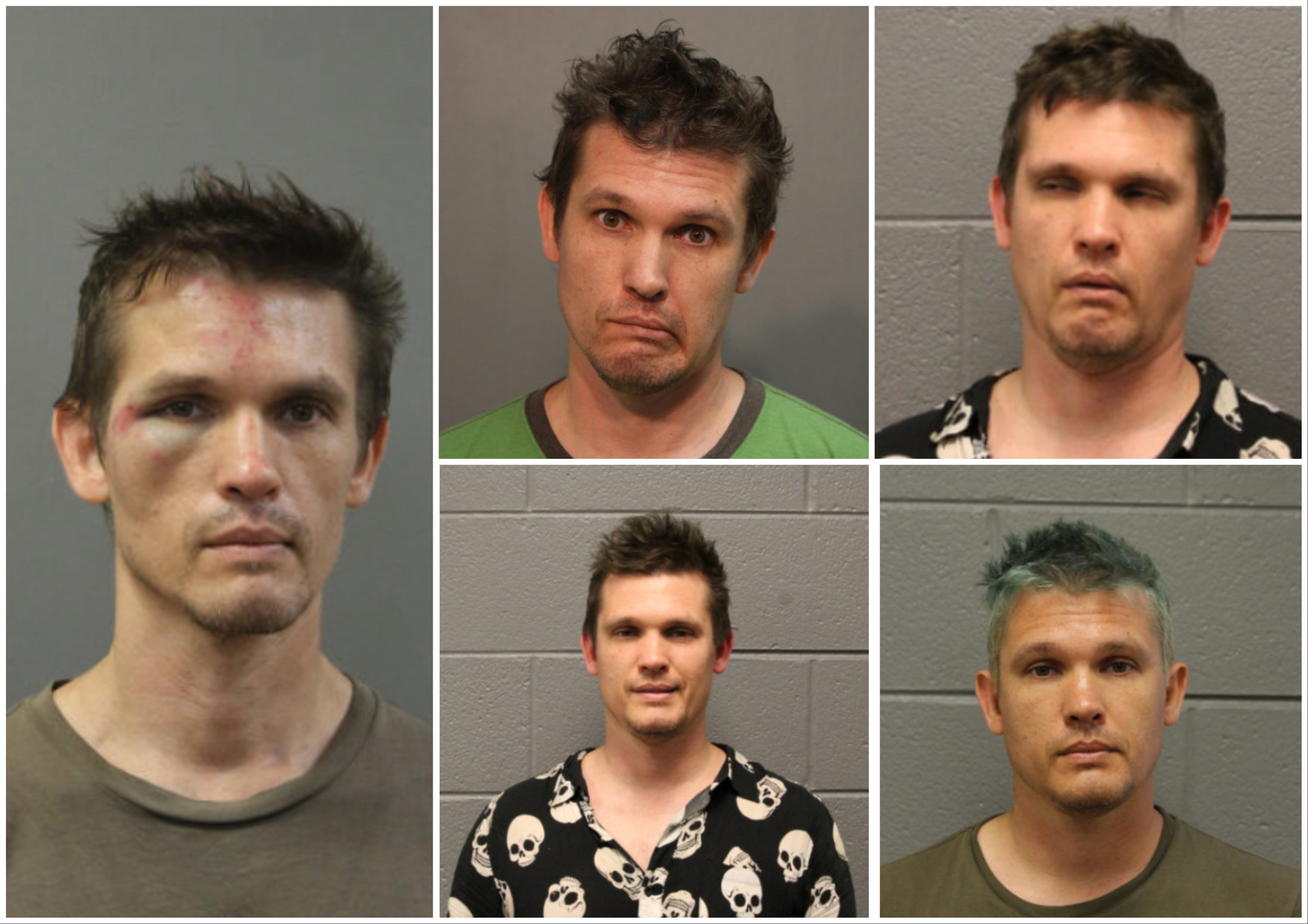 Mayle, the leader of the Satanic Temple in the Chicago area, has a significant arrest record related to his attempts to regain possession of Chief Wiggum, his emotional support hog. Mayle, who suffers from bipolar disorder and is allergic to dogs, is now suing to get the pig back from a Michigan animal sanctuary