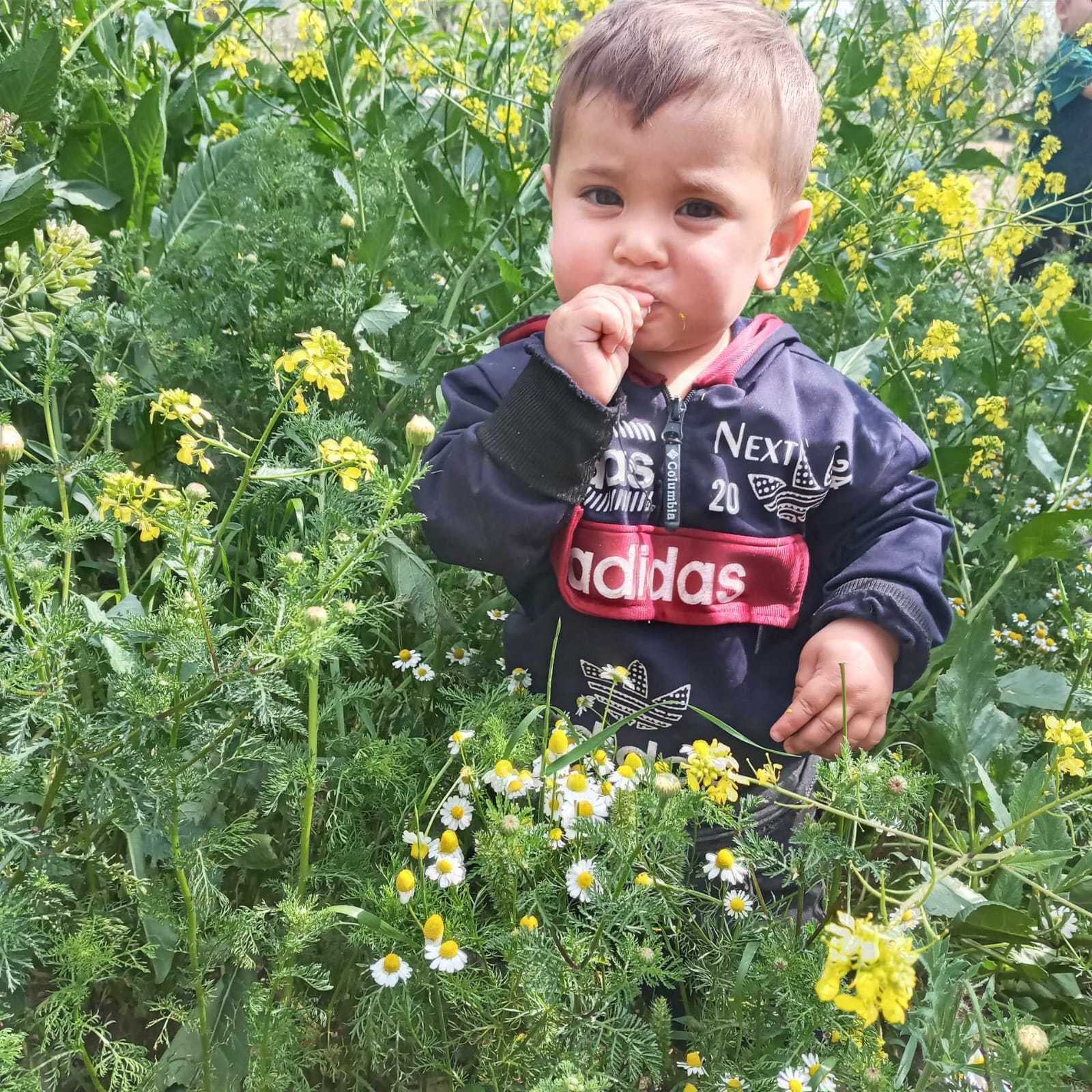 Ali, 3, underwent surgery after he was hit by shrapnel