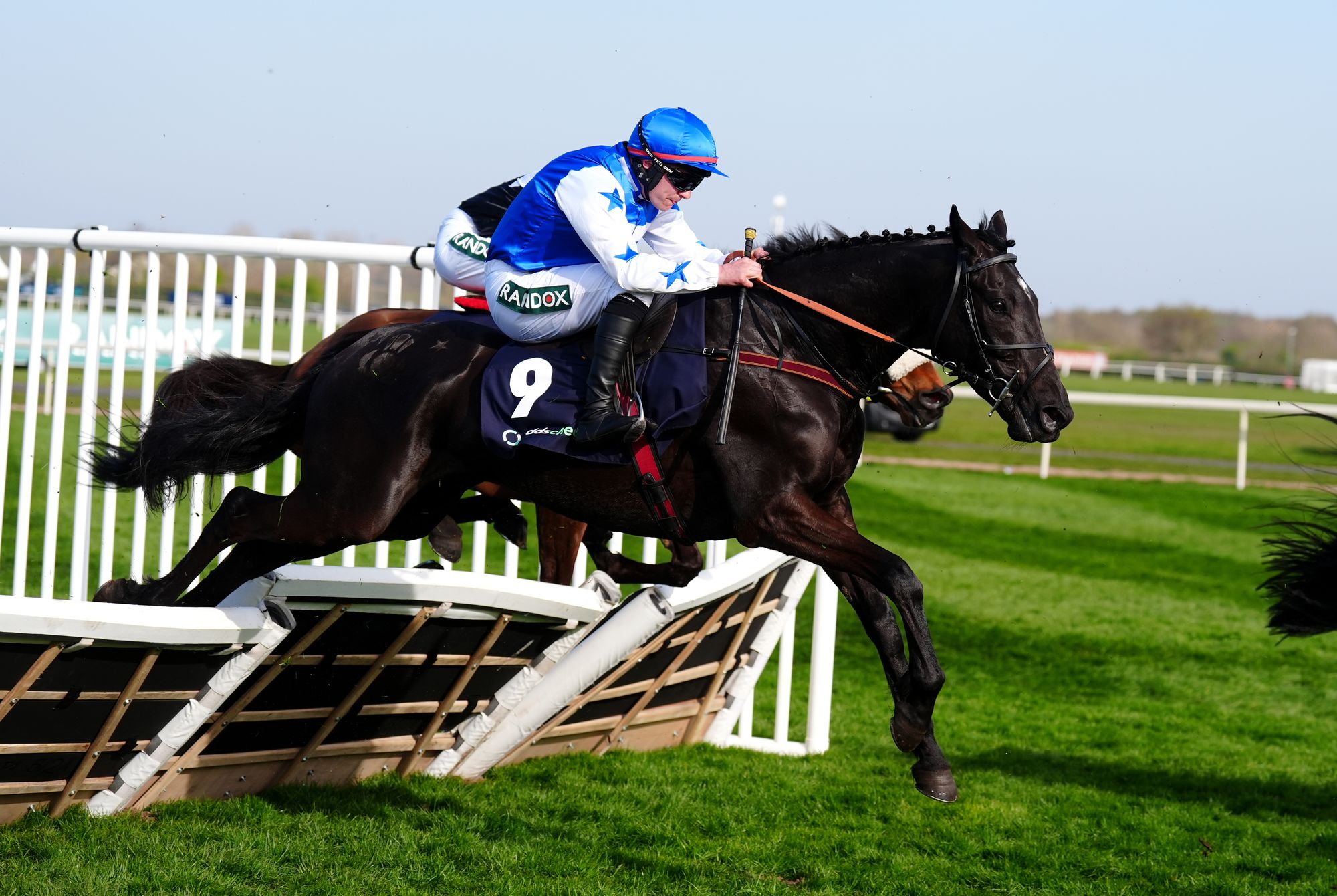 King Of Answers is one of our Friday fancies at Kelso